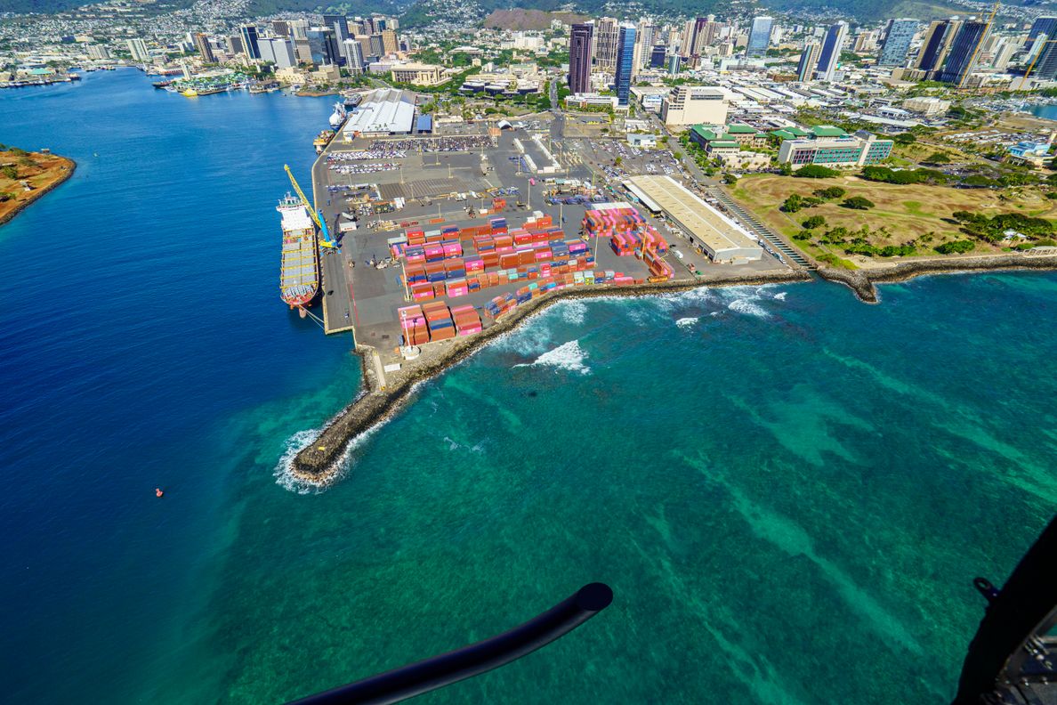 黄狗外贸物流海运实拍